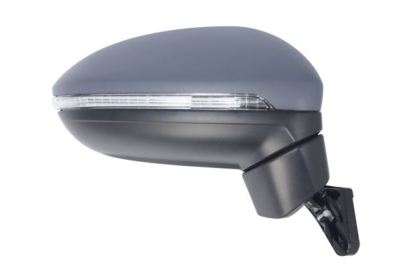 Blic Buitenspiegel 5402-01-1617311P