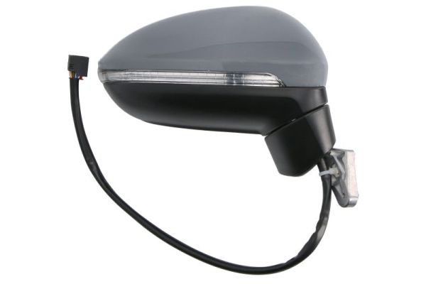 Blic Buitenspiegel 5402-01-1617313P