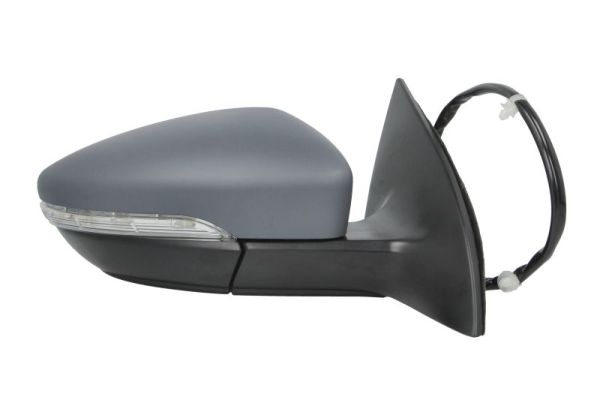 Blic Buitenspiegel 5402-01-2002694P