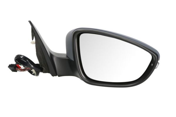 Blic Buitenspiegel 5402-01-2002696P