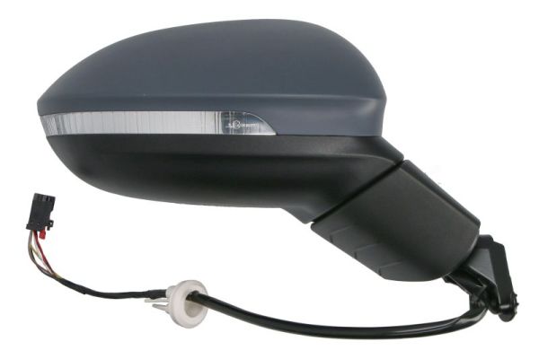 Blic Buitenspiegel 5402-01-2297311P