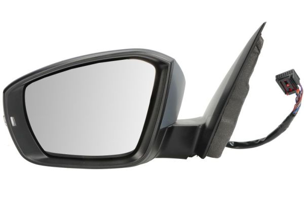 Blic Buitenspiegel 5402-01-2339314P