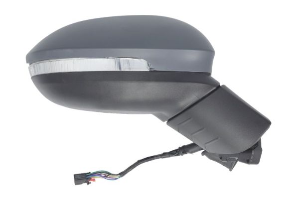 Blic Buitenspiegel 5402-01-2526313P