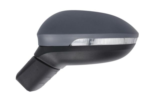 Blic Buitenspiegel 5402-01-2526314P