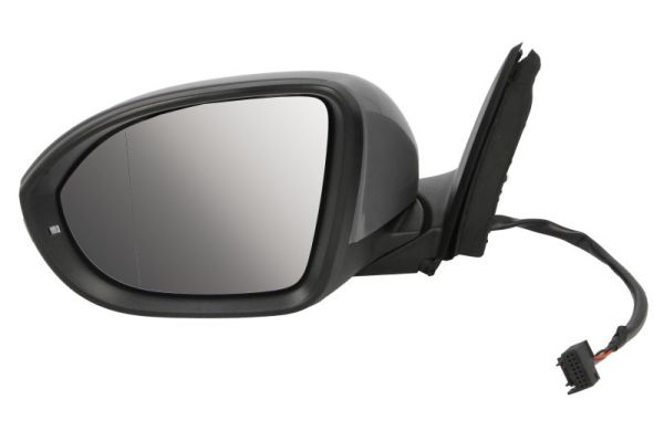 Blic Buitenspiegel 5402-01-2542310P