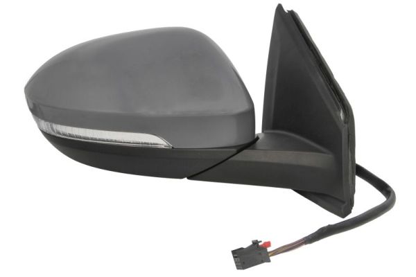 Blic Buitenspiegel 5402-01-2542311P