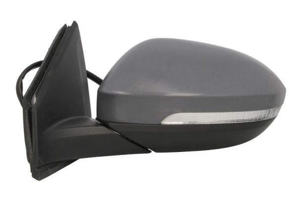 Blic Buitenspiegel 5402-01-2542312P