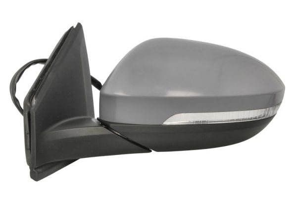 Blic Buitenspiegel 5402-01-2542314P