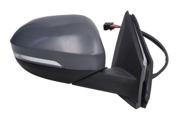 Blic Buitenspiegel 5402-01-2542315P