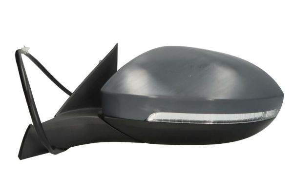 Blic Buitenspiegel 5402-01-2555310P