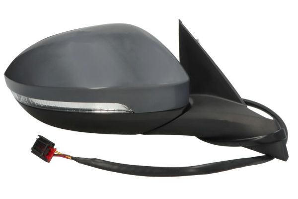 Blic Buitenspiegel 5402-01-2555311P