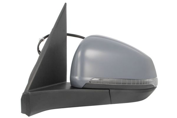 Blic Buitenspiegel 5402-01-2583310P