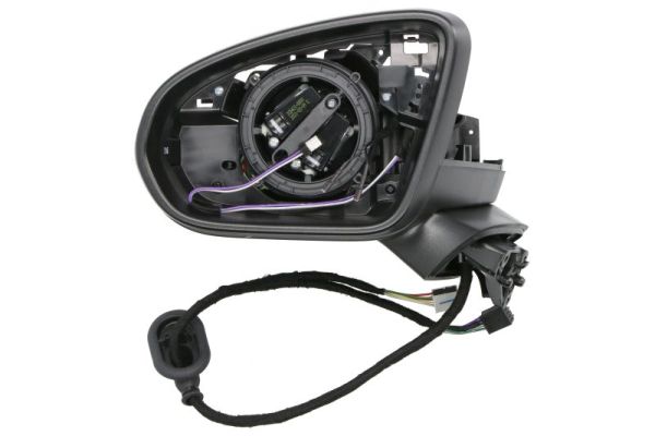 Blic Buitenspiegel 5402-02-2035312P