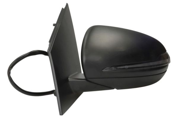 Blic Buitenspiegel 5402-02-2299310P