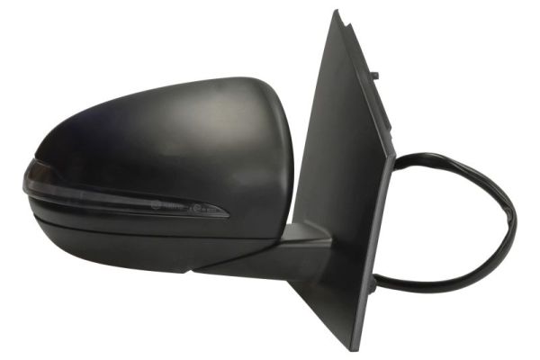 Blic Buitenspiegel 5402-02-2299311P