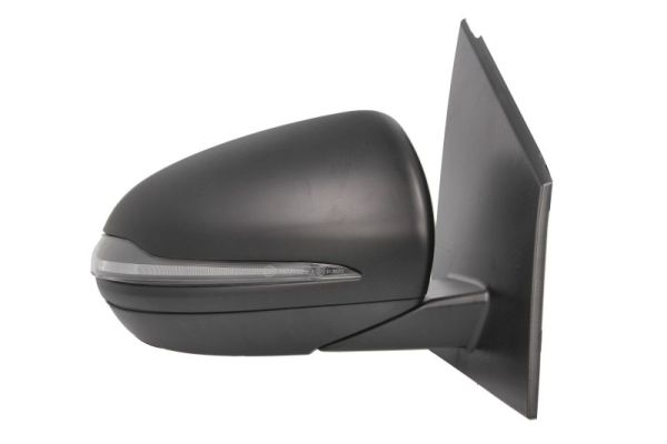 Blic Buitenspiegel 5402-02-2299313P