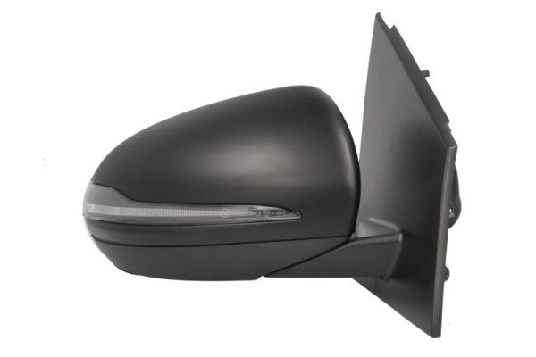 Blic Buitenspiegel 5402-02-2299315P