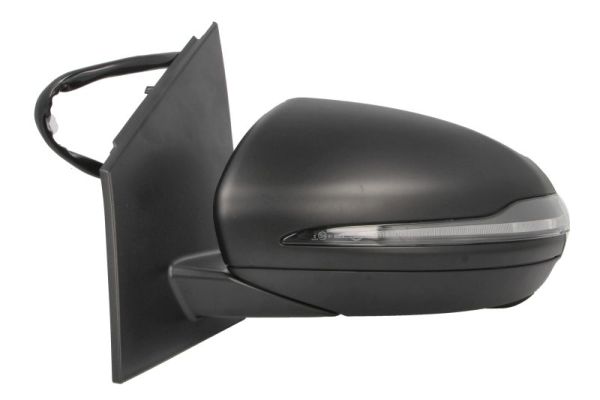 Blic Buitenspiegel 5402-02-2299316P