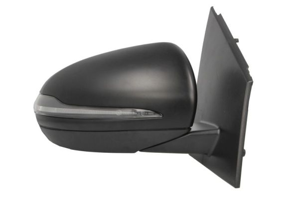 Blic Buitenspiegel 5402-02-2299317P