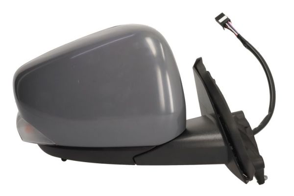 Blic Buitenspiegel 5402-02-2435313P