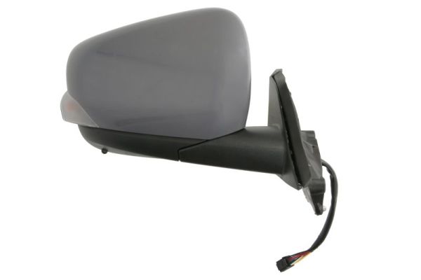 Blic Buitenspiegel 5402-02-2435317P