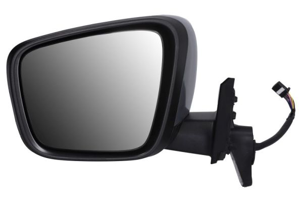 Blic Buitenspiegel 5402-02-2435320P