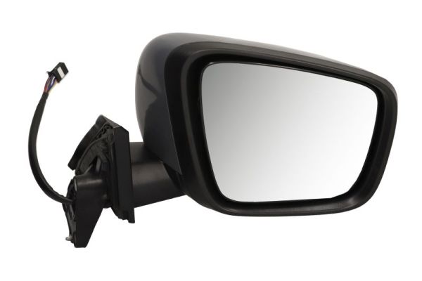 Blic Buitenspiegel 5402-02-2435321P