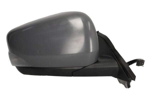 Blic Buitenspiegel 5402-02-2435321P