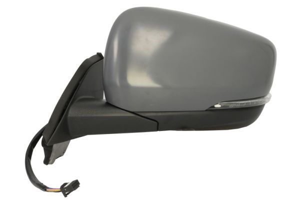 Blic Buitenspiegel 5402-02-2435322P