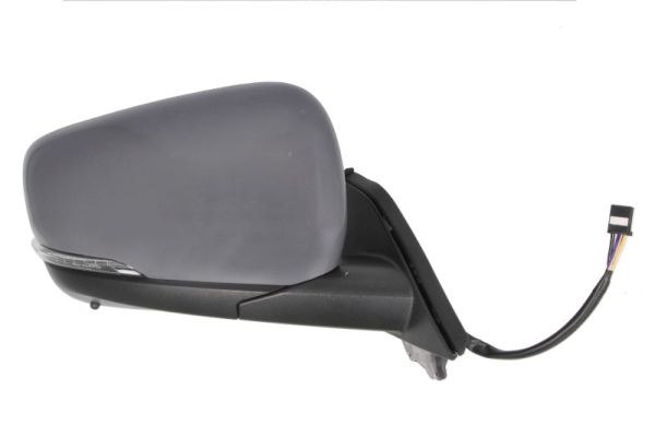 Blic Buitenspiegel 5402-02-2435323P