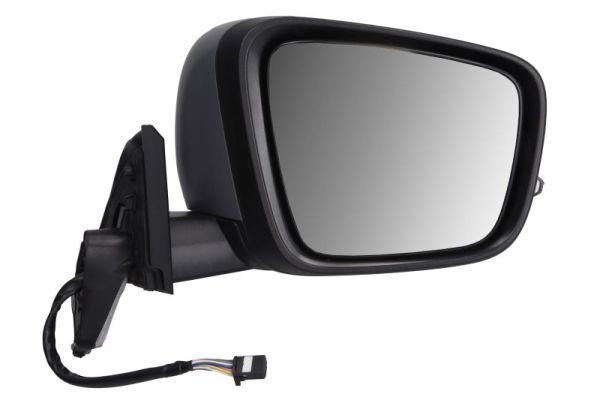 Blic Buitenspiegel 5402-02-2435325P