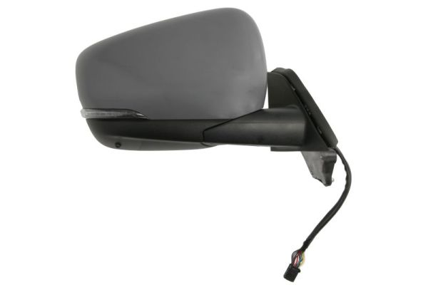 Blic Buitenspiegel 5402-02-2435325P