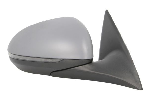 Blic Buitenspiegel 5402-02-2475311P