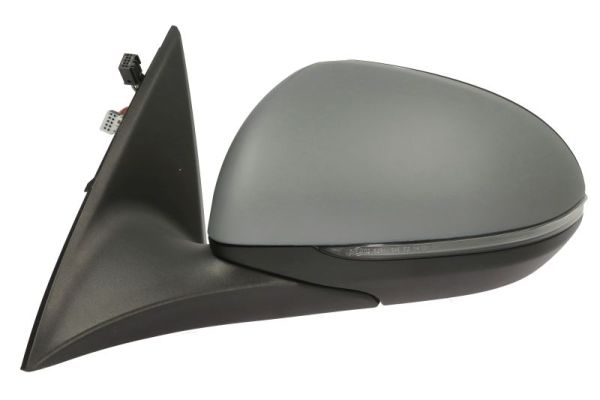 Blic Buitenspiegel 5402-02-2475312P