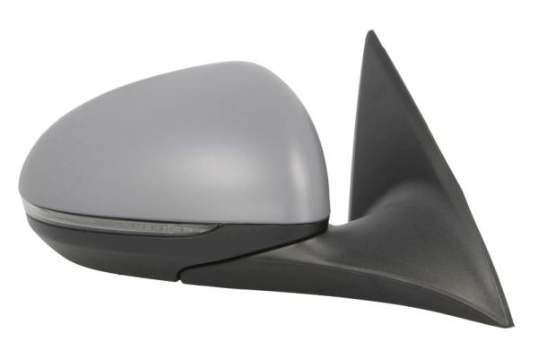 Blic Buitenspiegel 5402-02-2475313P