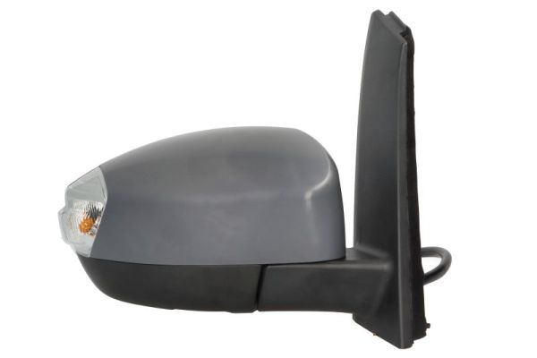 Blic Buitenspiegel 5402-03-0361313P