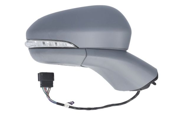 Blic Buitenspiegel 5402-03-0405317P