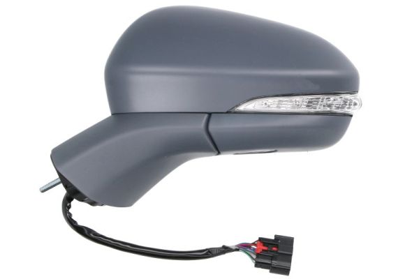 Blic Buitenspiegel 5402-03-0405318P