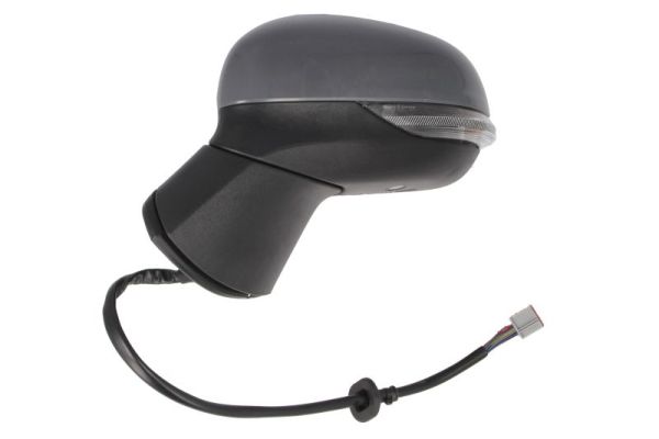 Blic Buitenspiegel 5402-03-2326312P