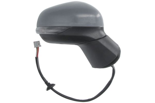 Blic Buitenspiegel 5402-03-2326313P