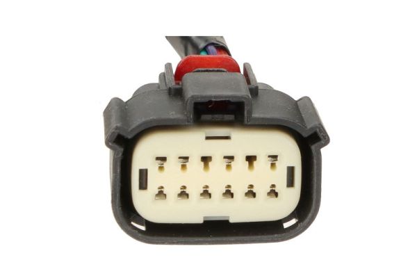 Blic Buitenspiegel 5402-03-2391317P