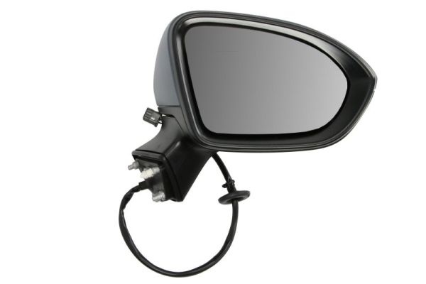 Blic Buitenspiegel 5402-04-0405296P