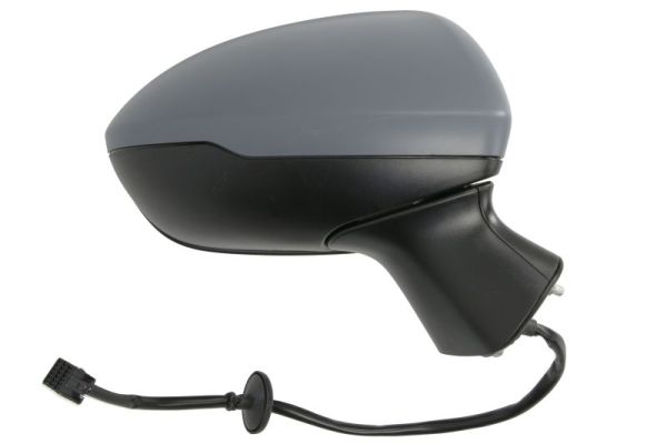 Blic Buitenspiegel 5402-04-0405296P