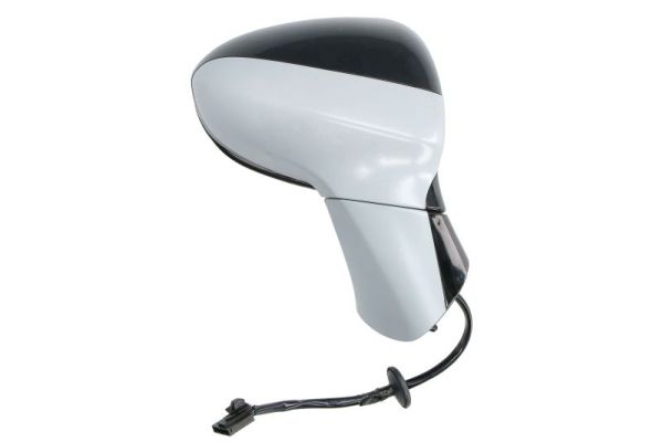 Blic Buitenspiegel 5402-04-1103310P