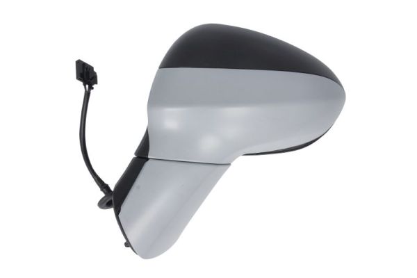 Blic Buitenspiegel 5402-04-1103312P