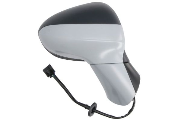 Blic Buitenspiegel 5402-04-1103315P