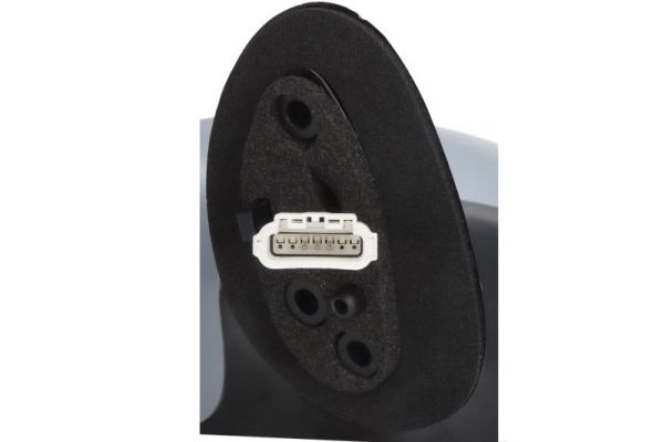 Blic Buitenspiegel 5402-04-1111527P