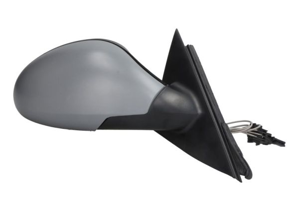 Blic Buitenspiegel 5402-04-1115892P