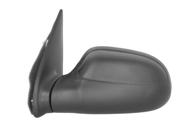 Blic Buitenspiegel 5402-04-1125338P