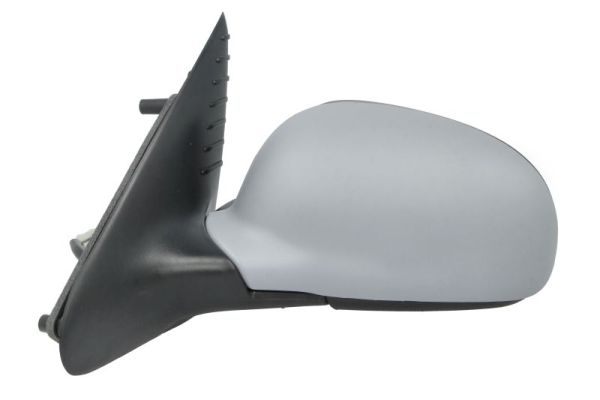 Blic Buitenspiegel 5402-04-1125391P